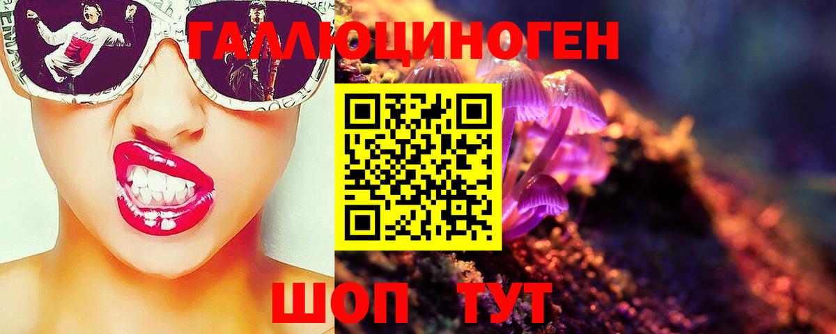 Галлюциногенные грибы Psilocybine cubensis Кубинка